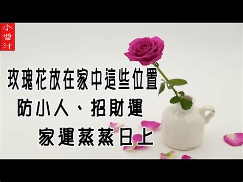 房間放玫瑰|家裡可以放玫瑰花嗎？